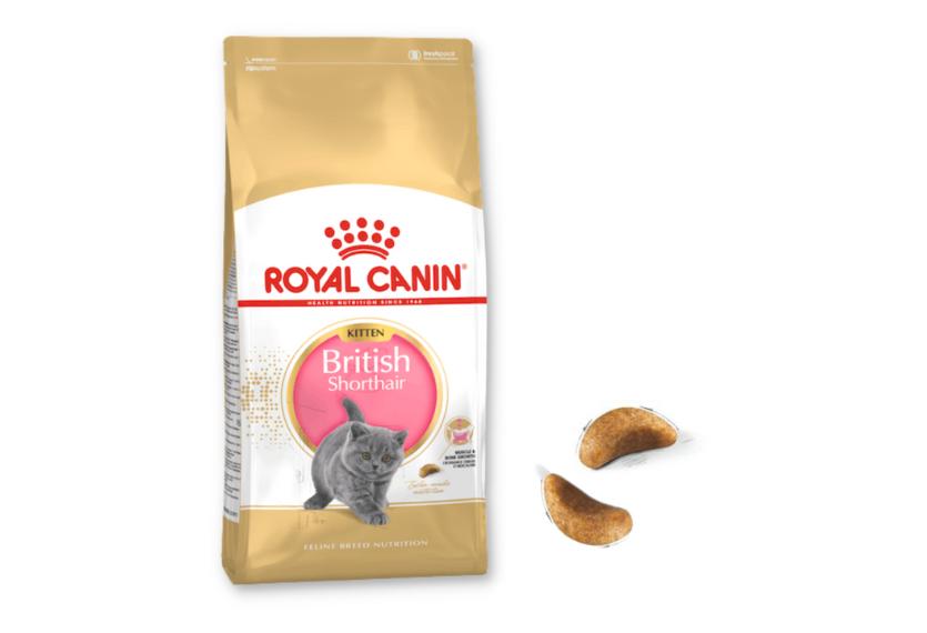Royal Canin British Shorthair Kitten - Hạt Cho Mèo Anh Lông Ngắn Con