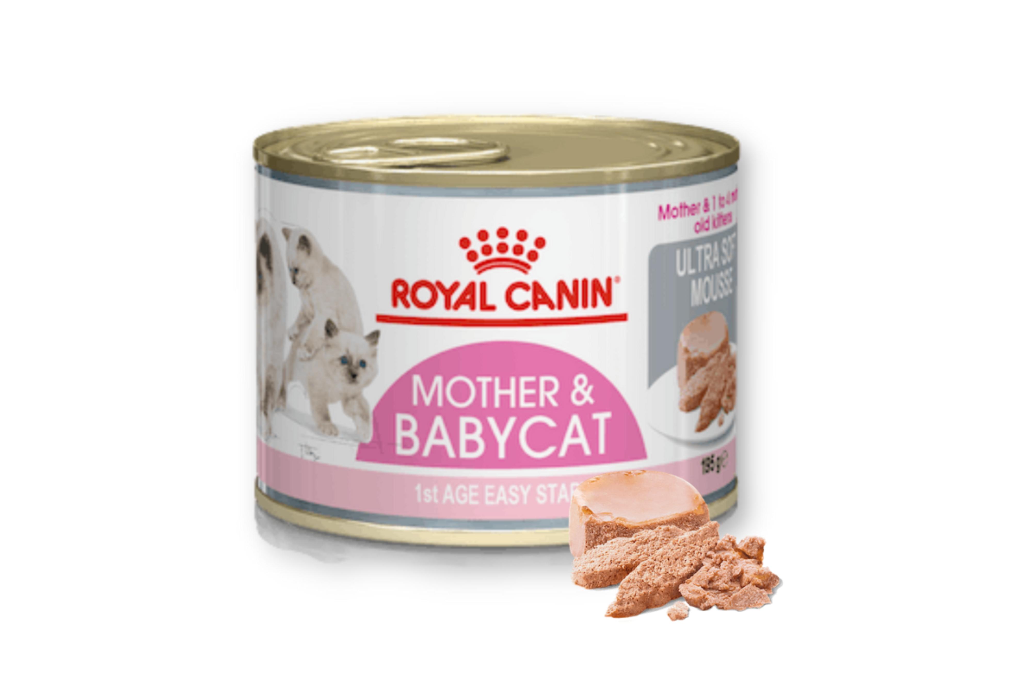 Royal Canin Mother & Babycat - Pate Cho Mèo Mẹ & Mèo Con