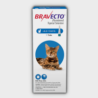 Bravecto - Thuốc Trị Ve Rận Cho Mèo