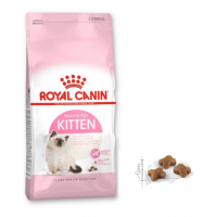 Royal Canin Kitten - Hạt Cho Mèo Con