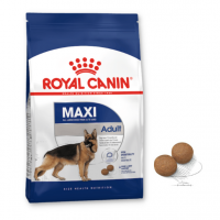 Royal Canin Maxi Adult - Hạt Cho Chó Trưởng Thành Giống Lớn
