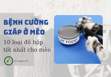 10 loại đồ hộp tốt cho mèo bị cường giáp