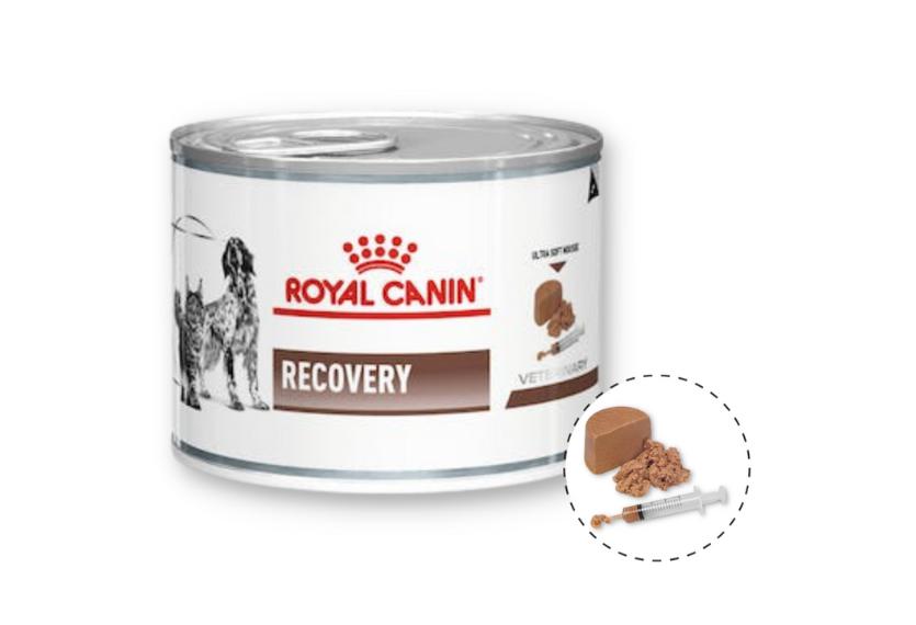 Royal Canin Recovery - Pate Thúc Đẩy Quá Trình Phục Hồi Cho Chó & Mèo