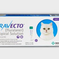 Bravecto - Thuốc Trị Ve Rận Cho Mèo