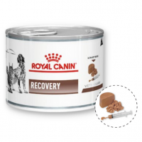 Royal Canin Recovery - Pate Thúc Đẩy Quá Trình Phục Hồi Cho Chó & Mèo