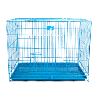 Letrungpet - Chuồng Chó Sơn Tĩnh Điện (Xanh)