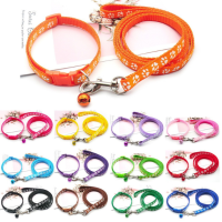 Petland - Vòng Cổ Có Dây (Họa Tiết)