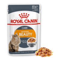 Royal Canin Intense Beauty (Jelly) - Thức Ăn Ướt Chăm Sóc Lông Cho Mèo