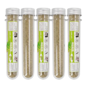 Letrungpet - Cỏ Mèo Catnip (Bạc Hà)